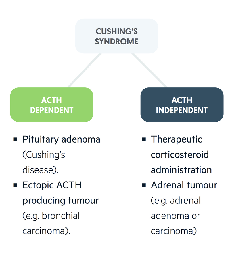 Pulsenotes Cushing S Syndrome Notes