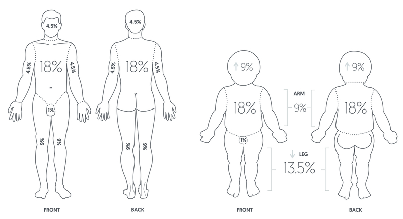 Pulsenotes Burns Notes