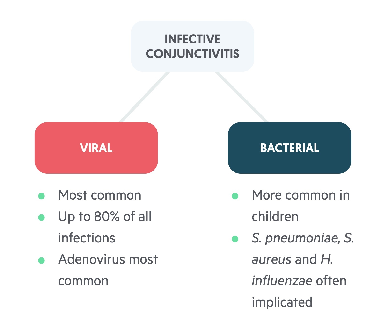 Infective conjunctivitis