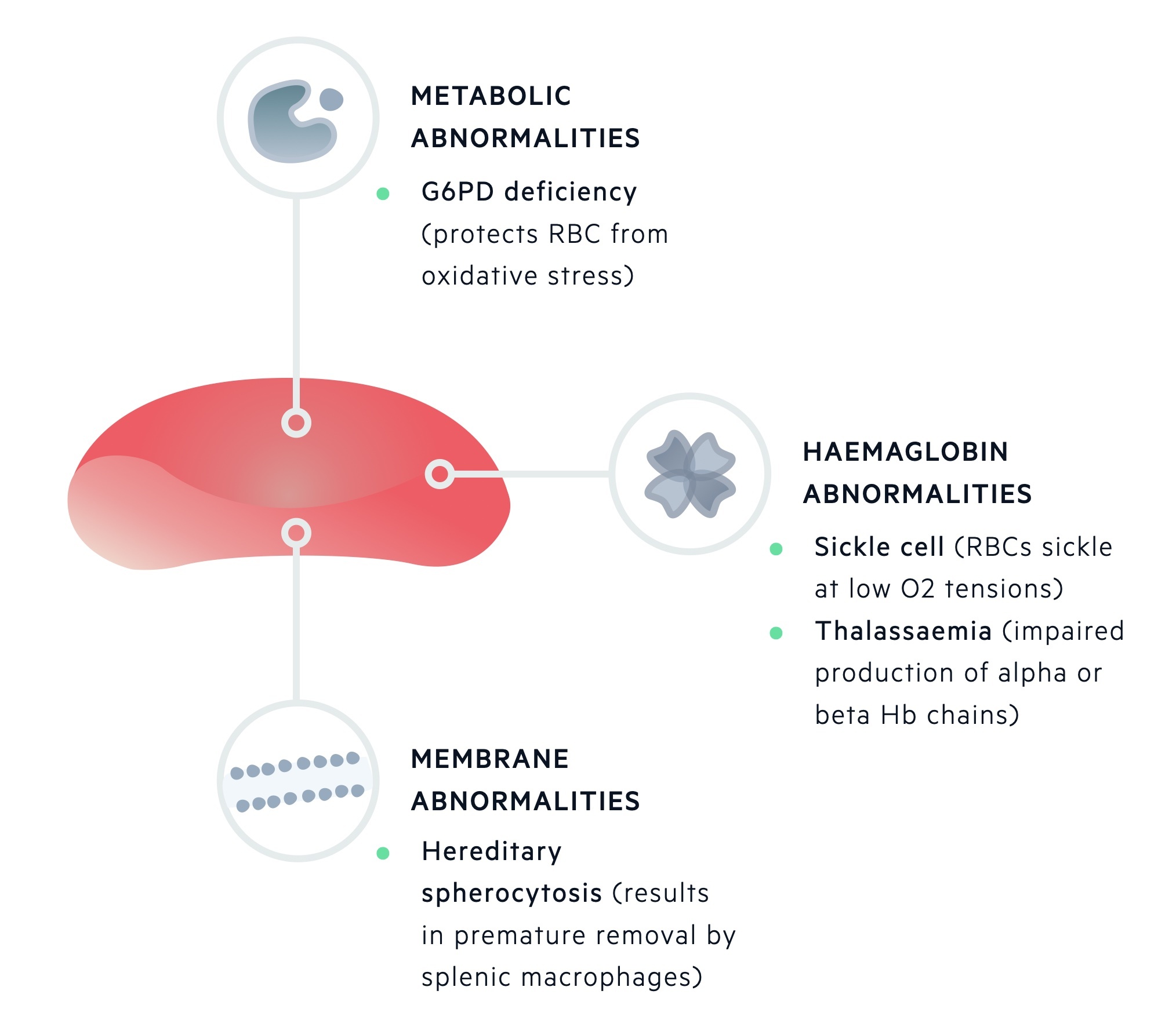 Inherited haemolytic anaemia