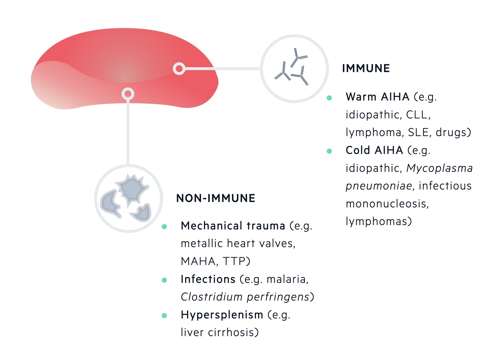 Acquired haemolytic anaemias 