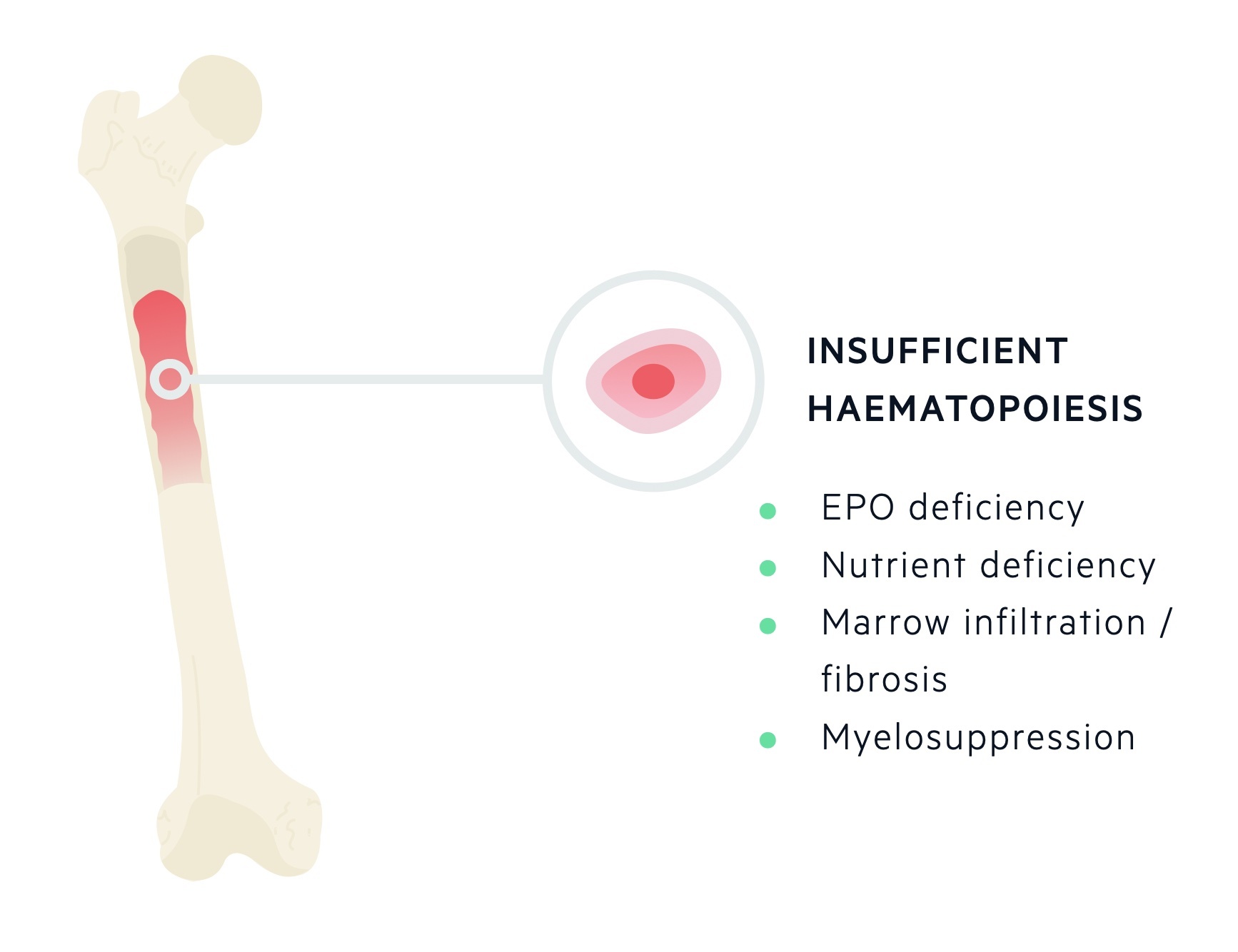 Insufficient haematopoiesis