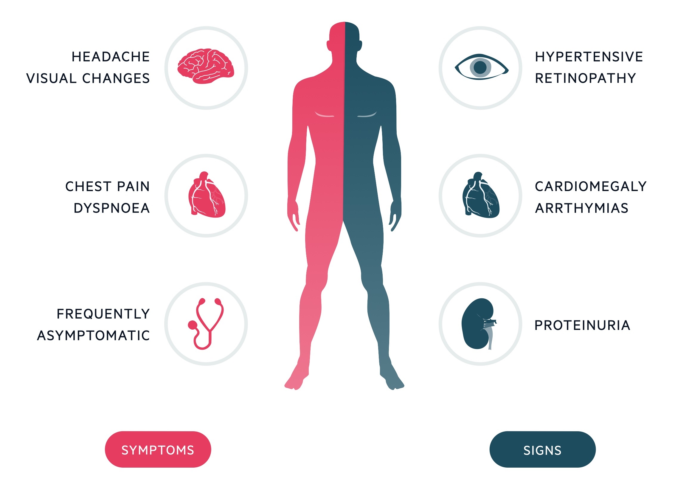 Clinical features of hypertension