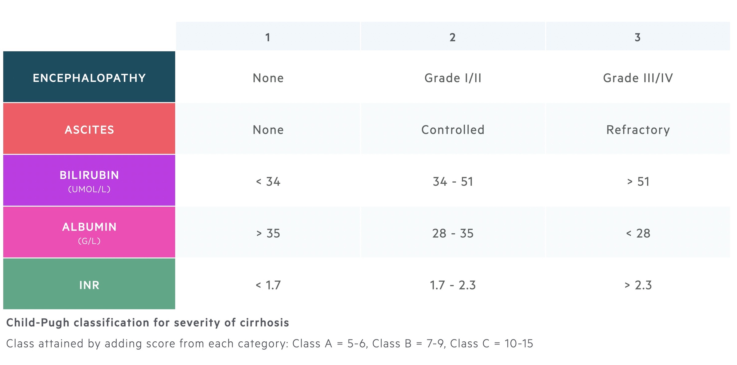 Child-Pugh classification for severity of cirrhosis