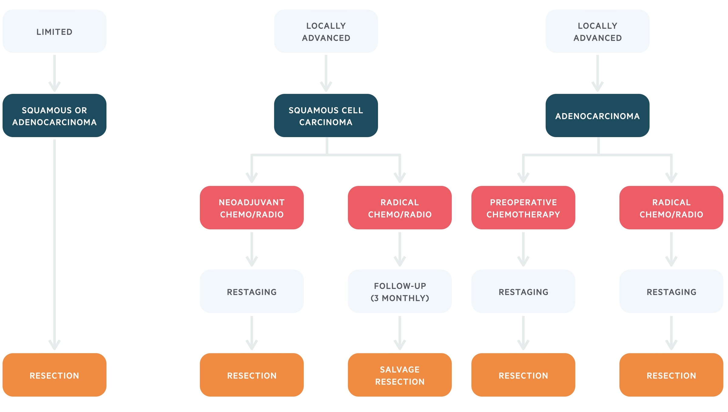 Limited and locally advanced management of oesophageal cancer