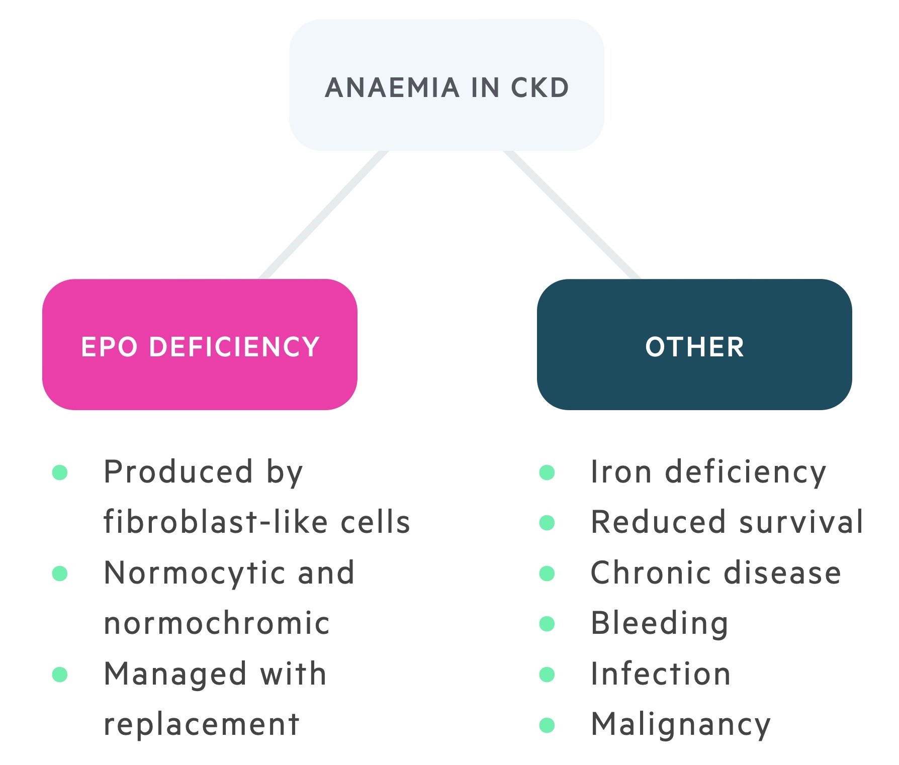 Aetiology of anaemia in chronic kidney disease (CKD)