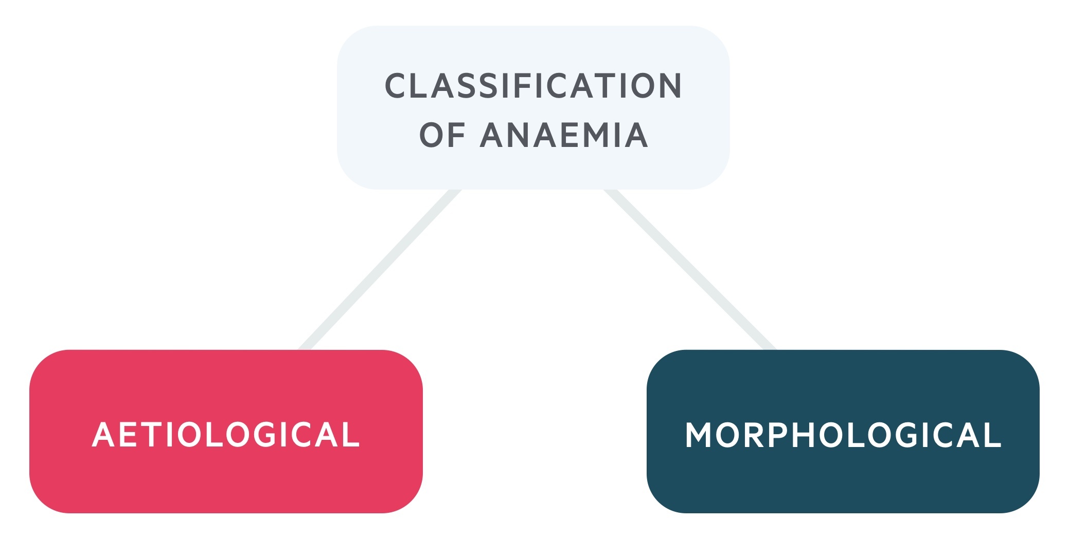 Classification of anaemia