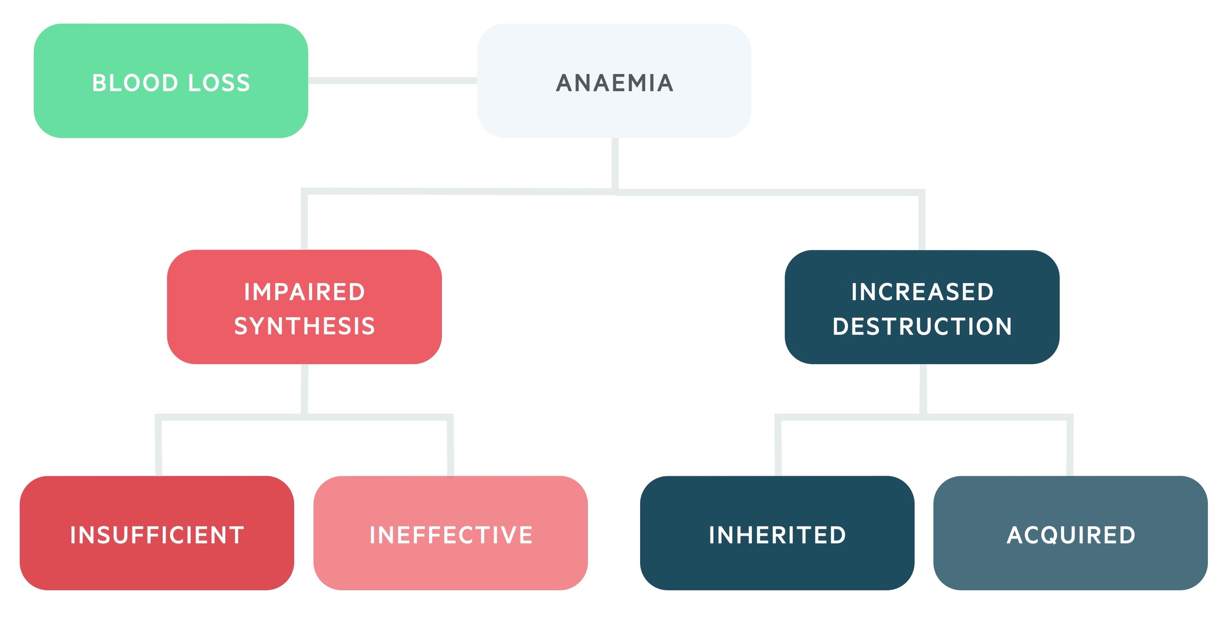 Aetiological causes of anaemia