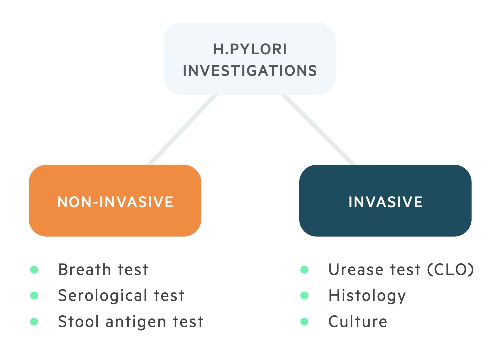 H.pylori investigations