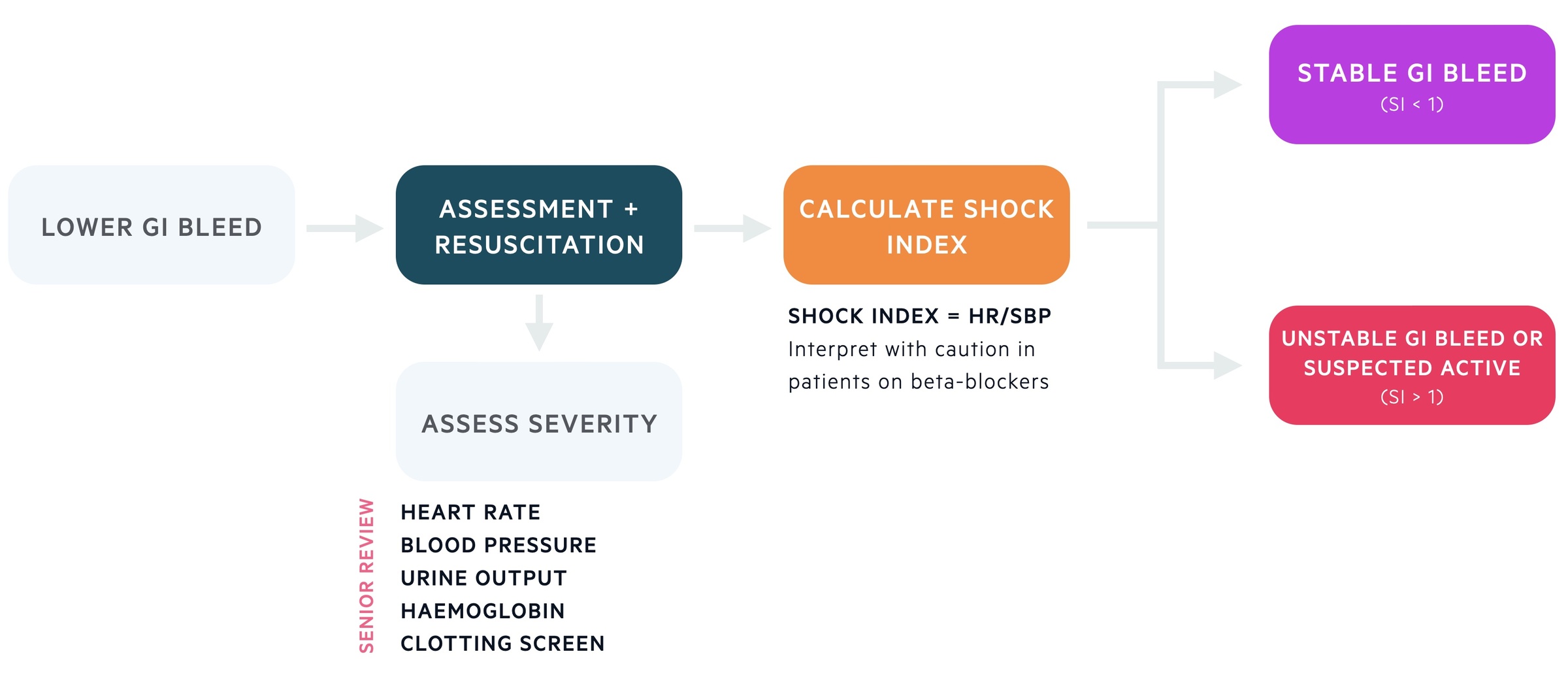 Initial assessment of lower GI bleed