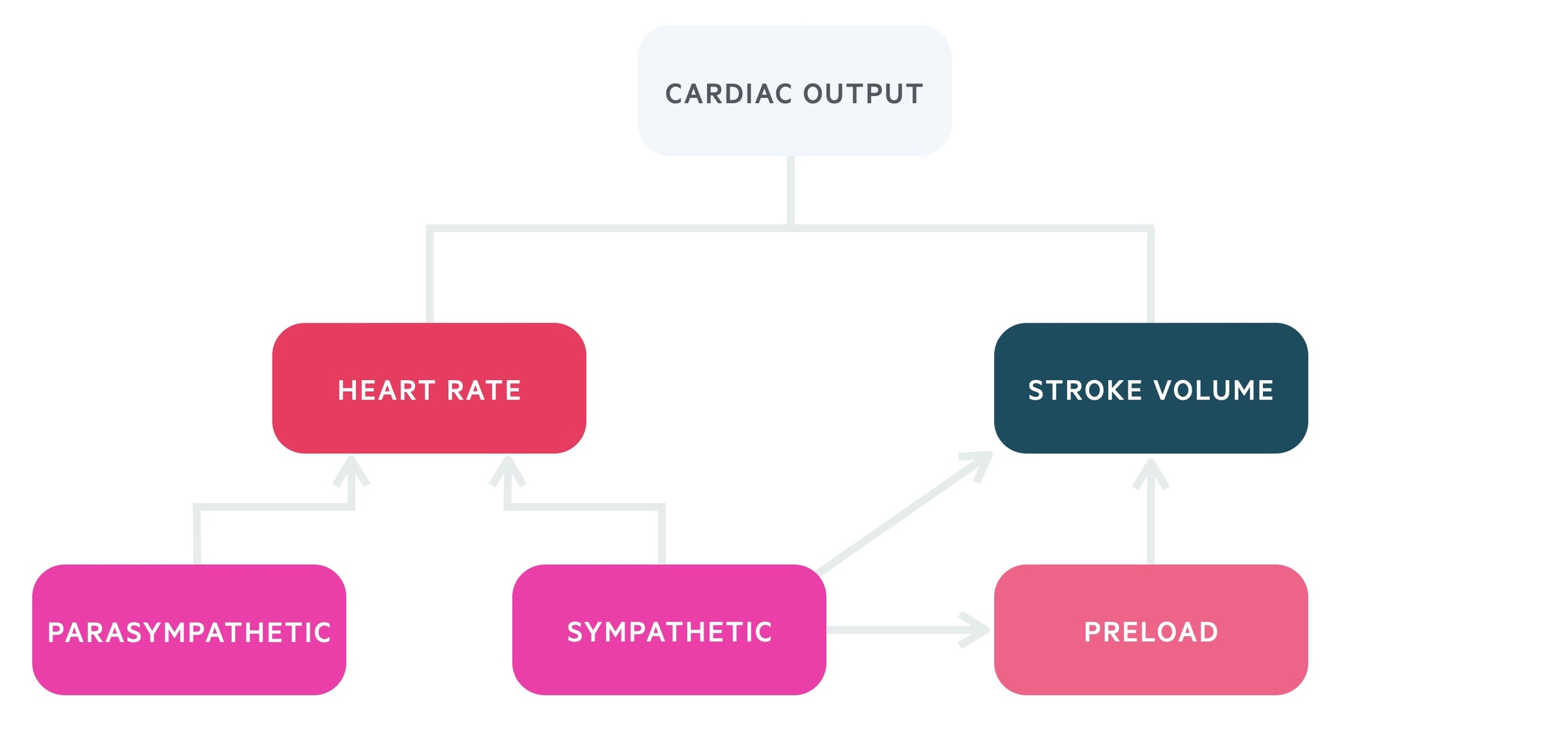 Control of cardiac output