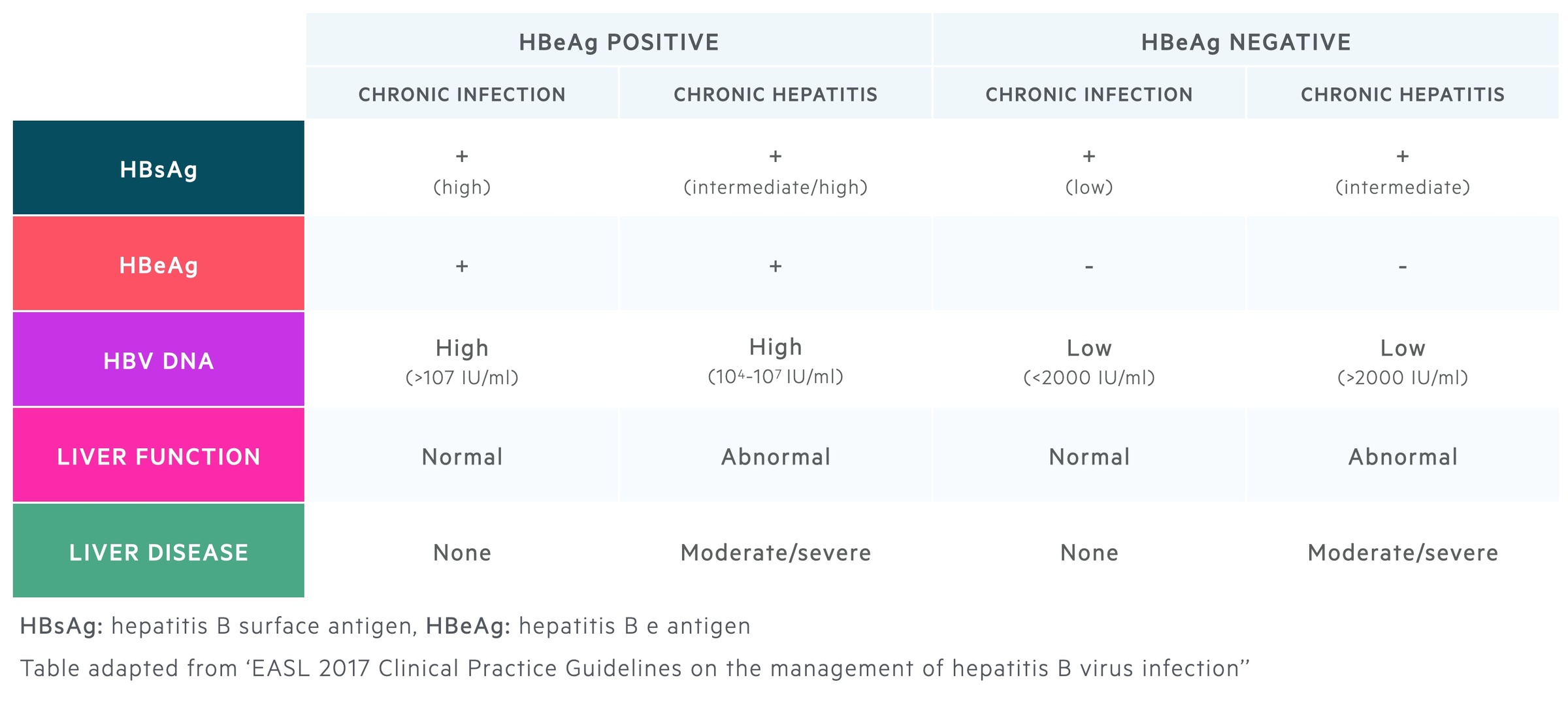 Phases of chronic hepatitis B