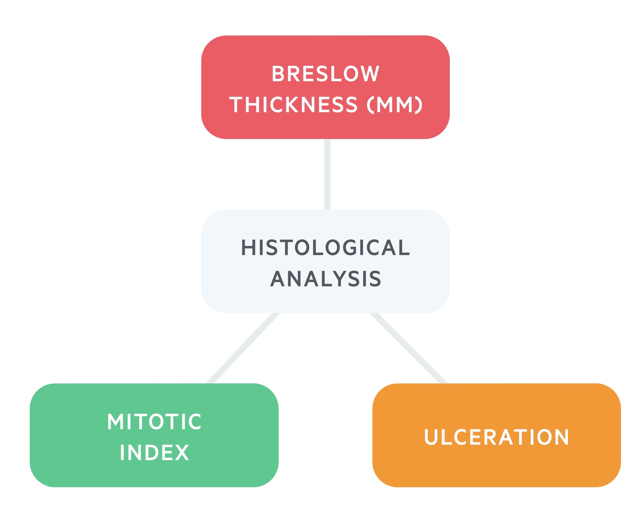 Histological analysis