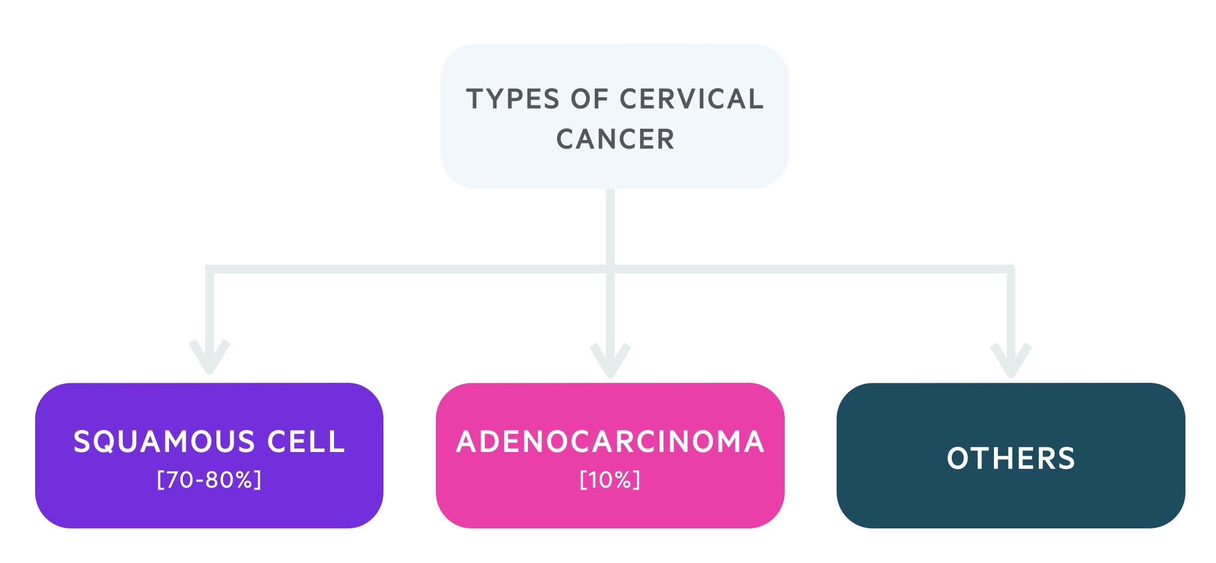 Types of cervical cancer