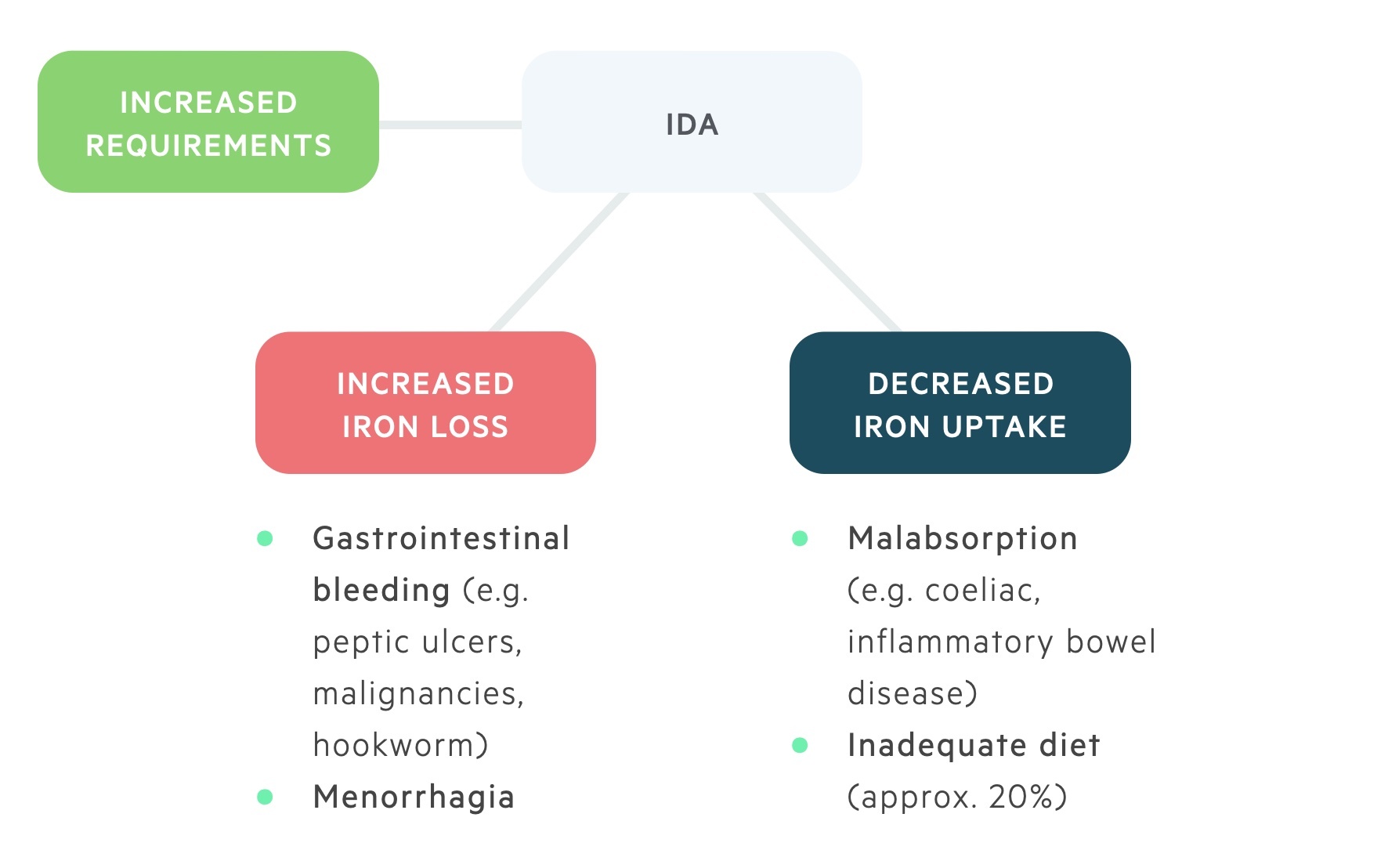 Causes of iron deficiency anaemia