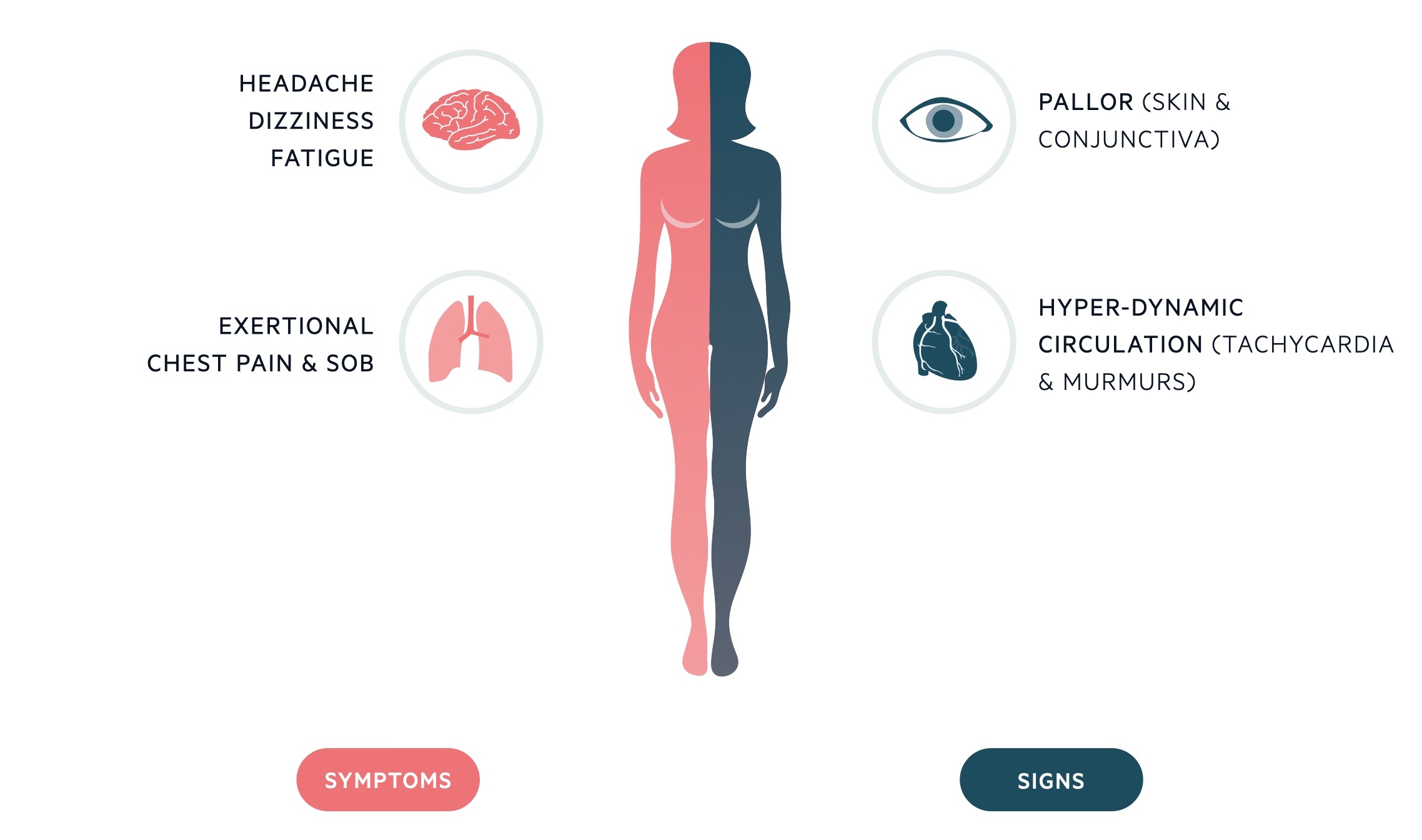 Clinical features of IDA