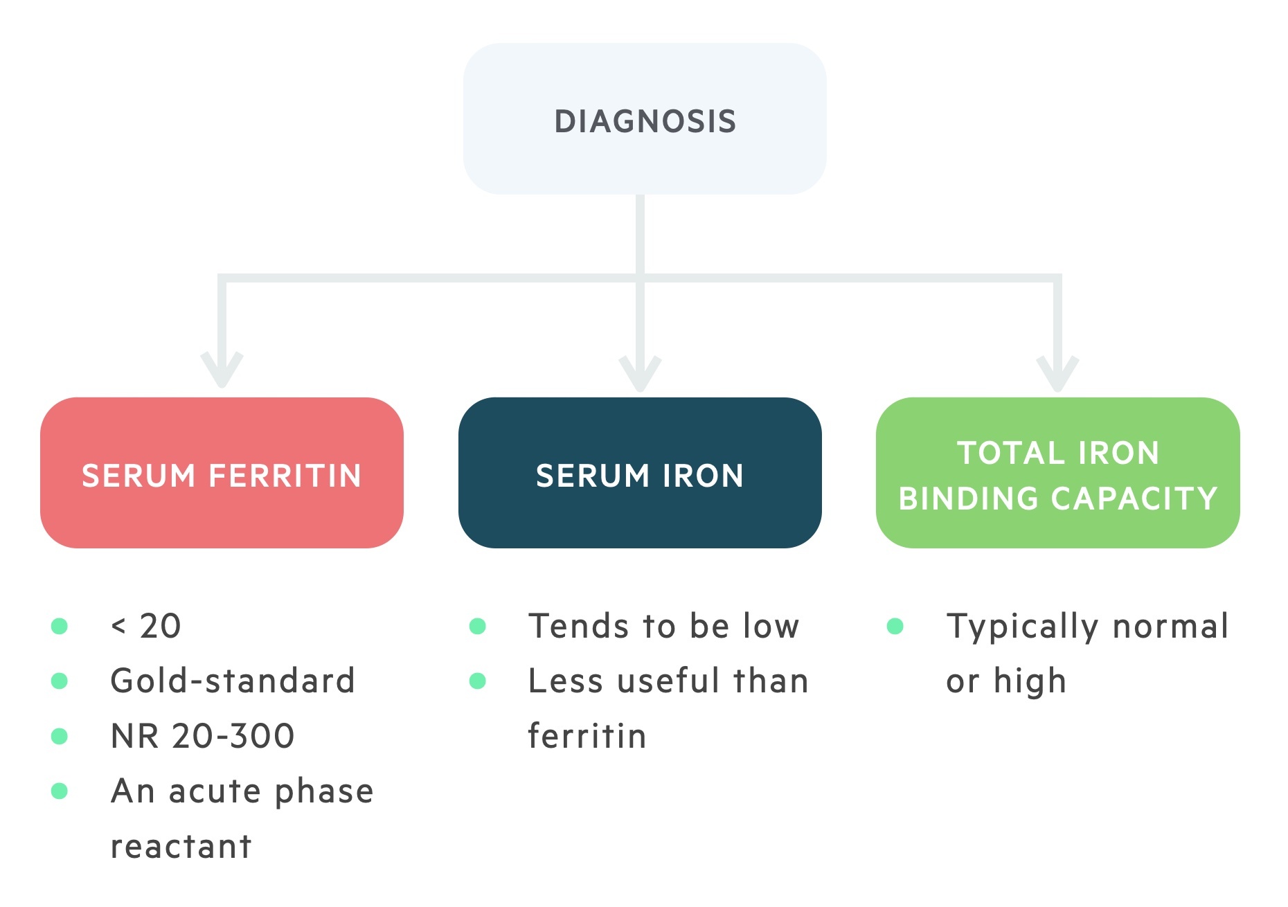 Diagnosis of IDA