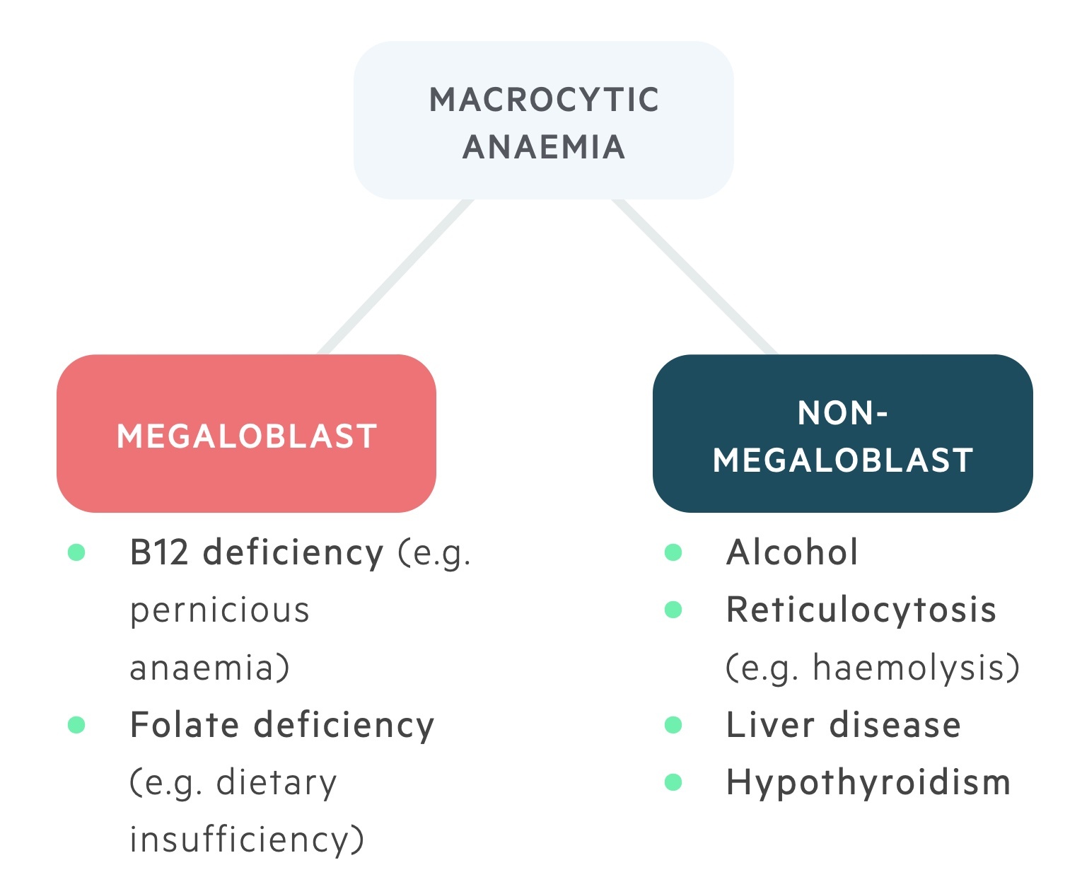 Classification of macrocytic anaemia