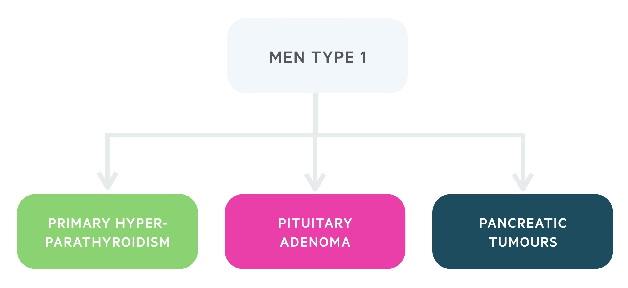 Manifestations of MEN type 1