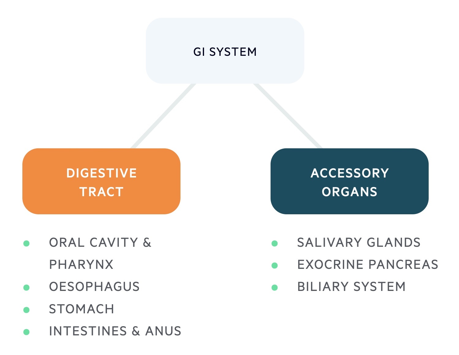 Overview of the GI system