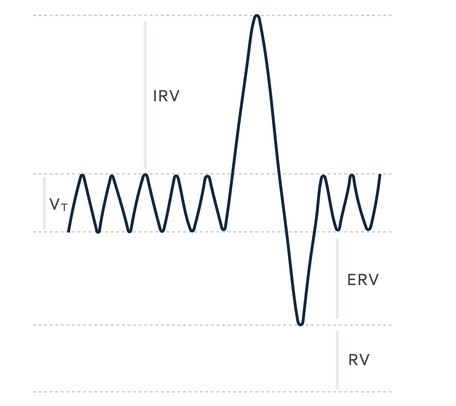 Lung volumes