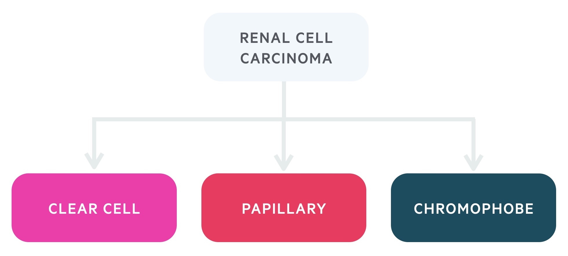 Types of renal cell cancer