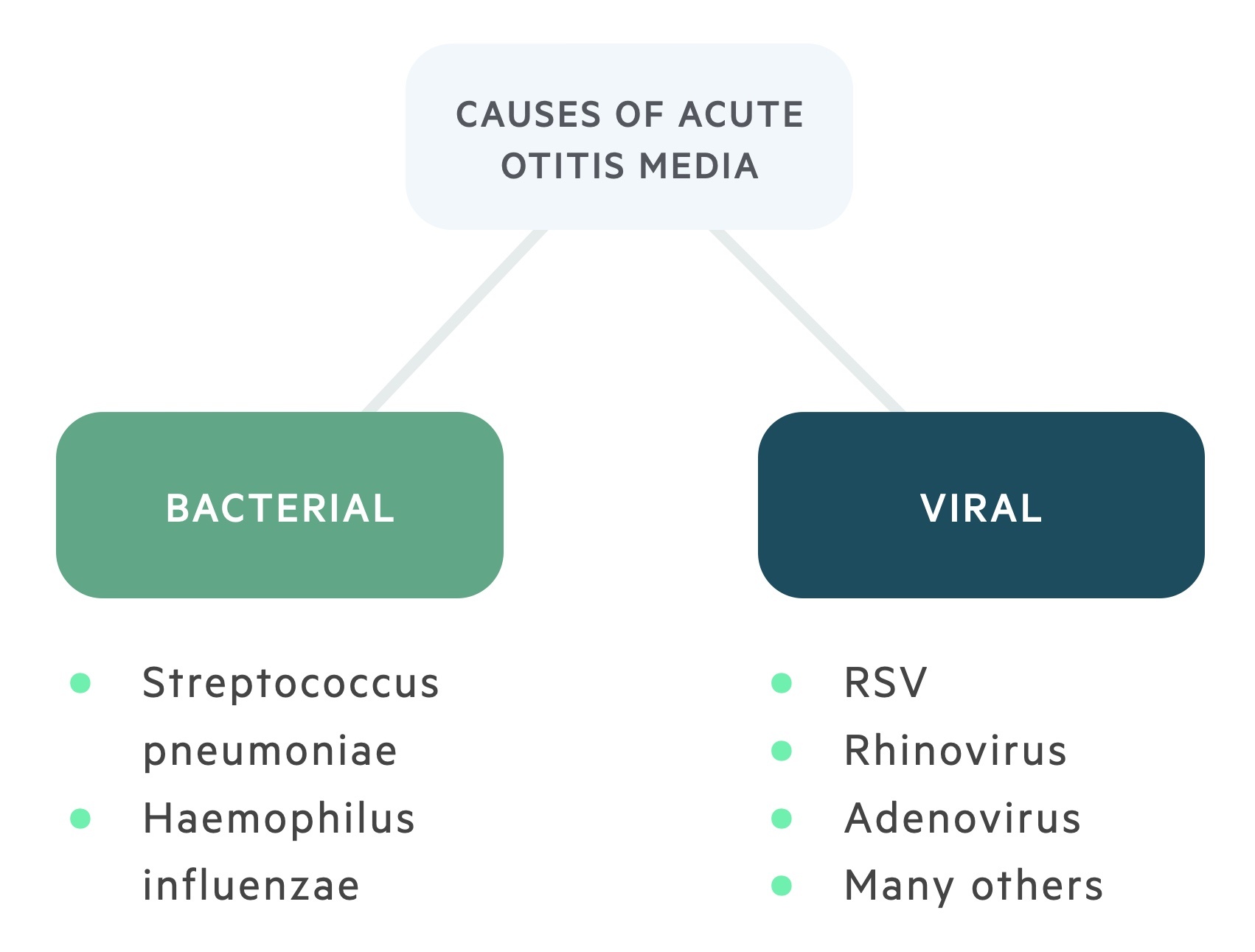 Causes of acute otitis media