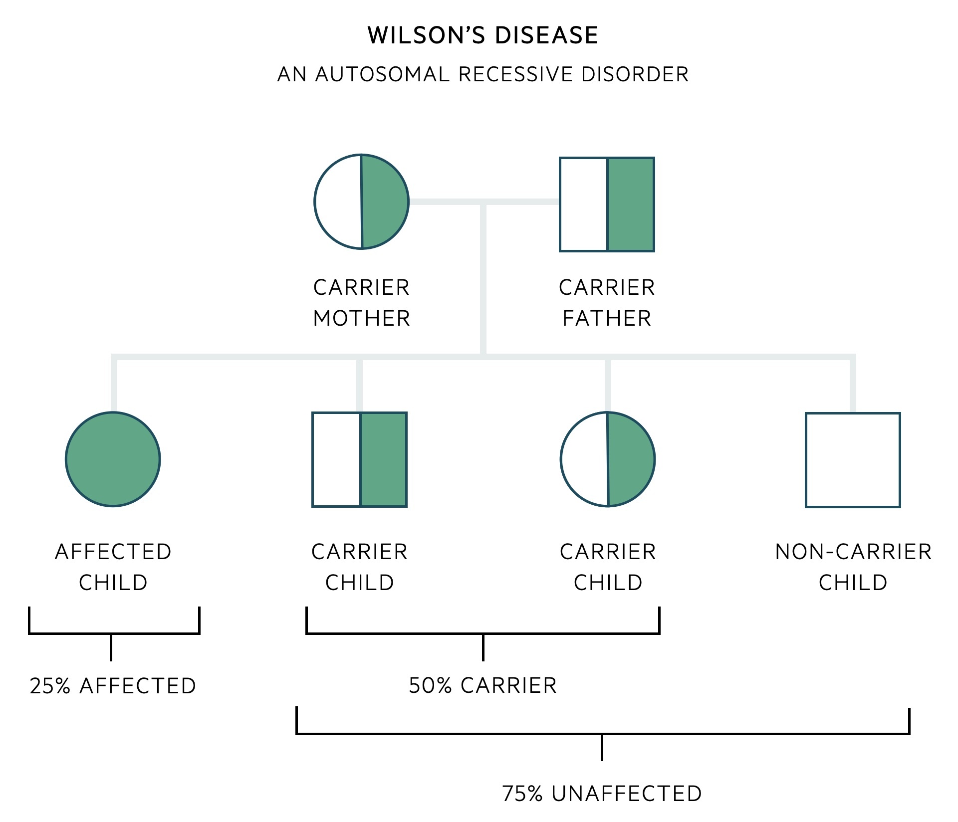 Wilson's disease inheritance