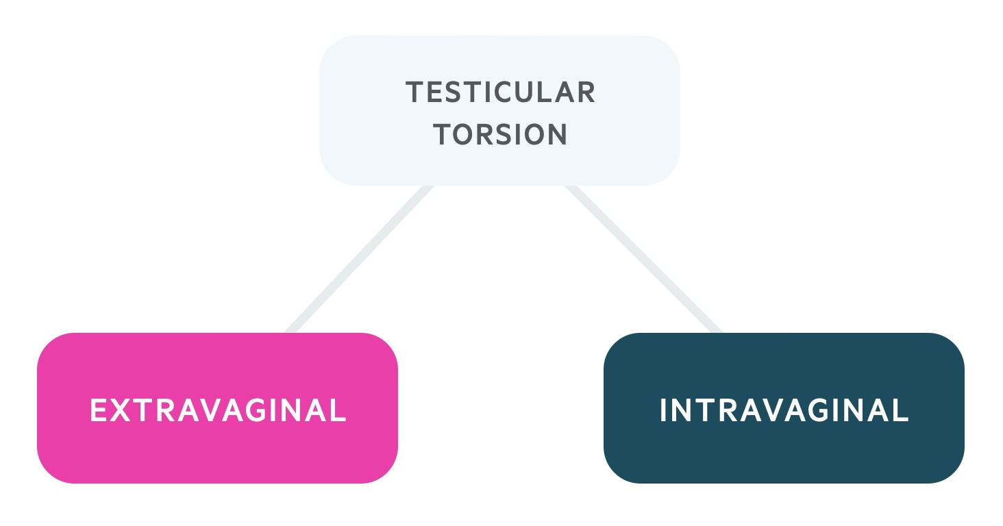Types of torsion