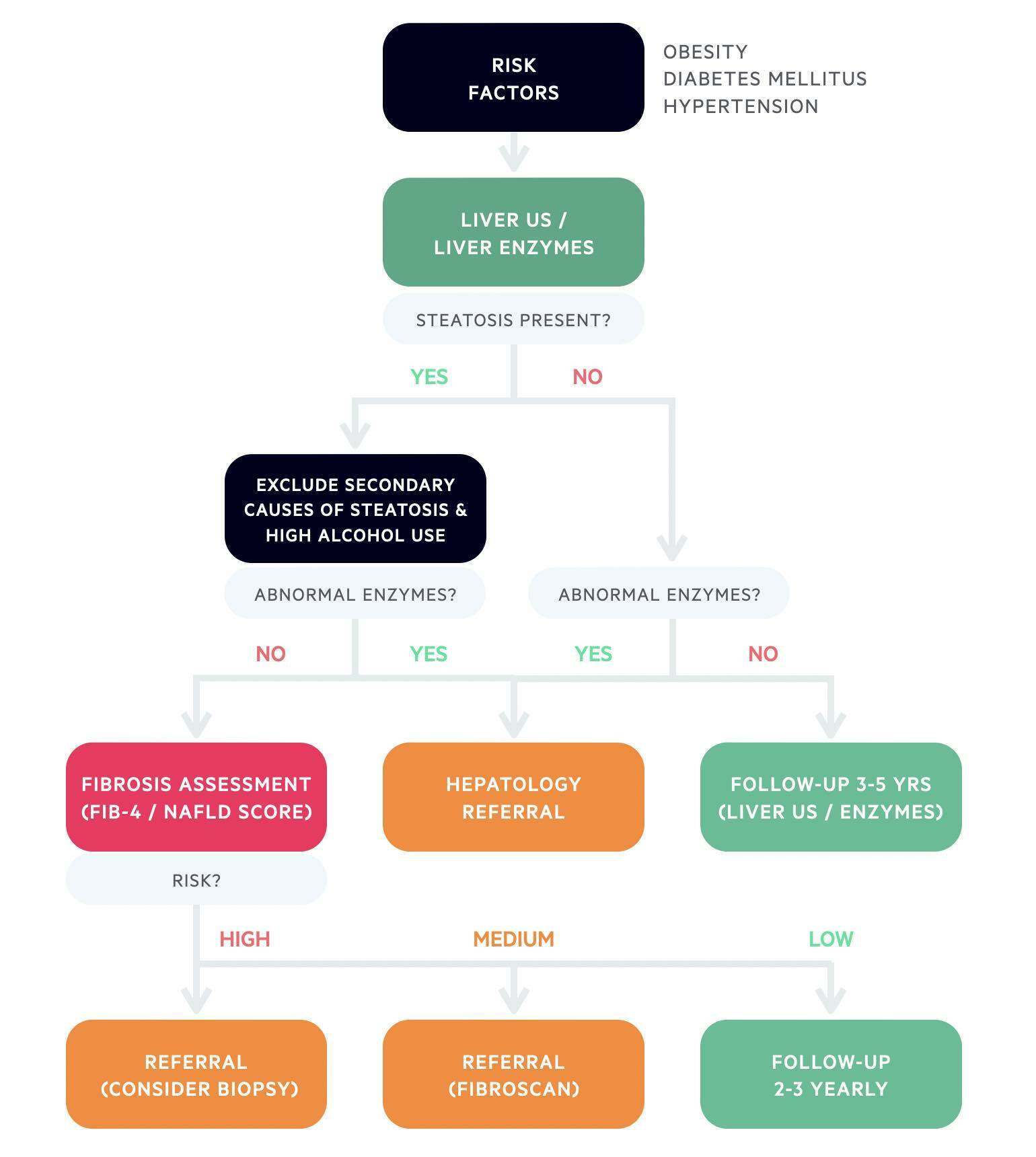 NAFLD fibrosis pathway