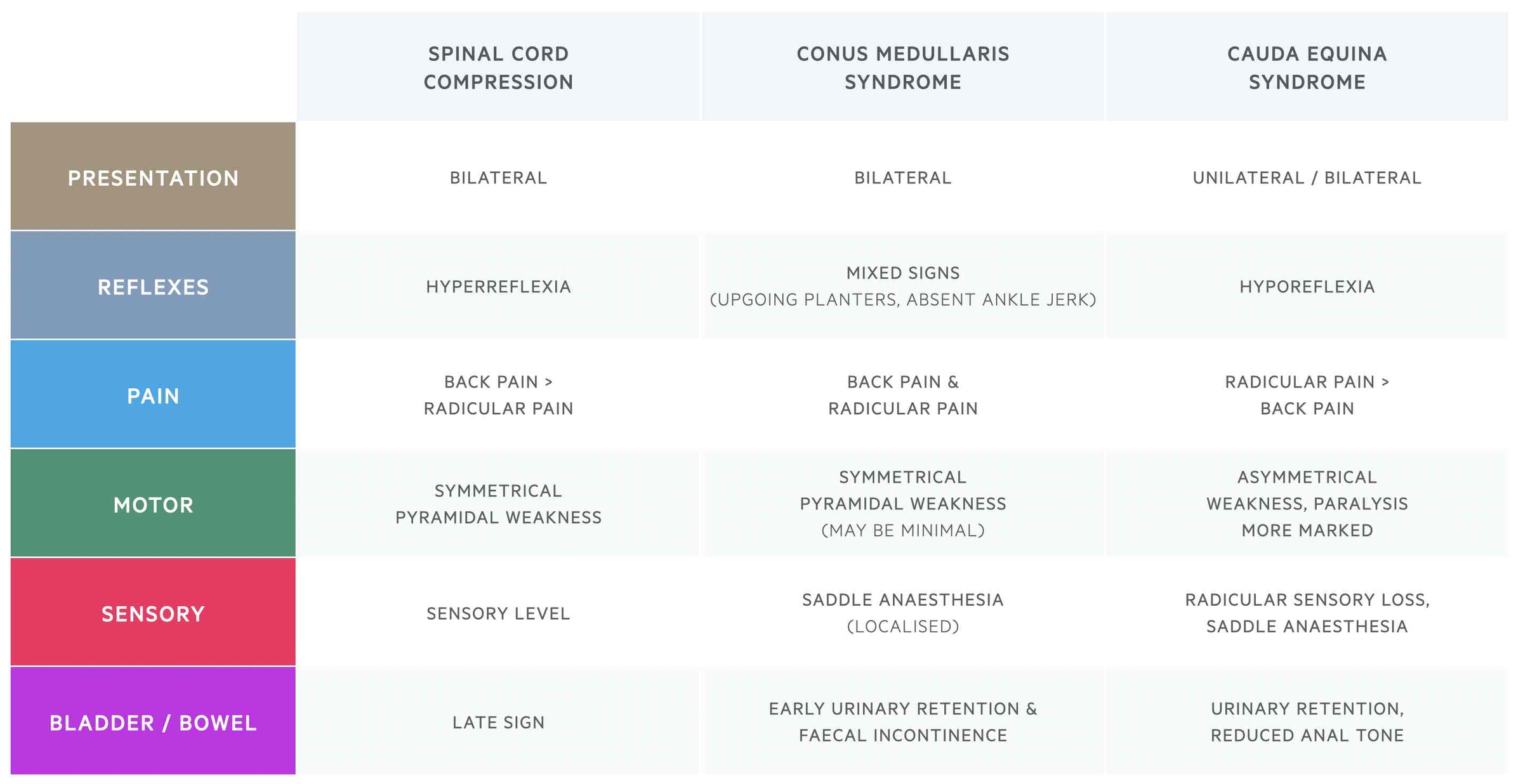 cauda equina syndrome vs conus medullaris