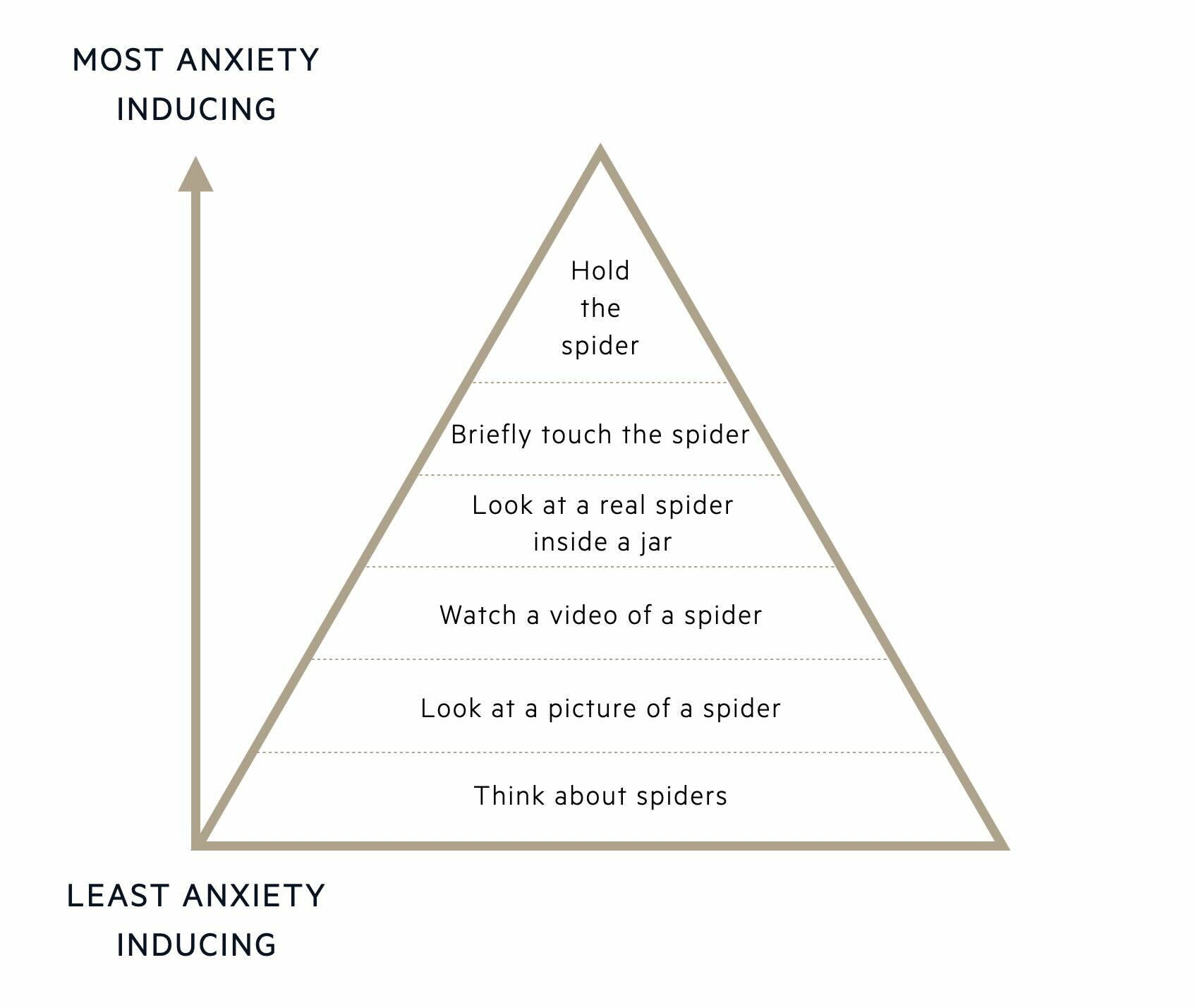 Anxiety hierarchy for a spider