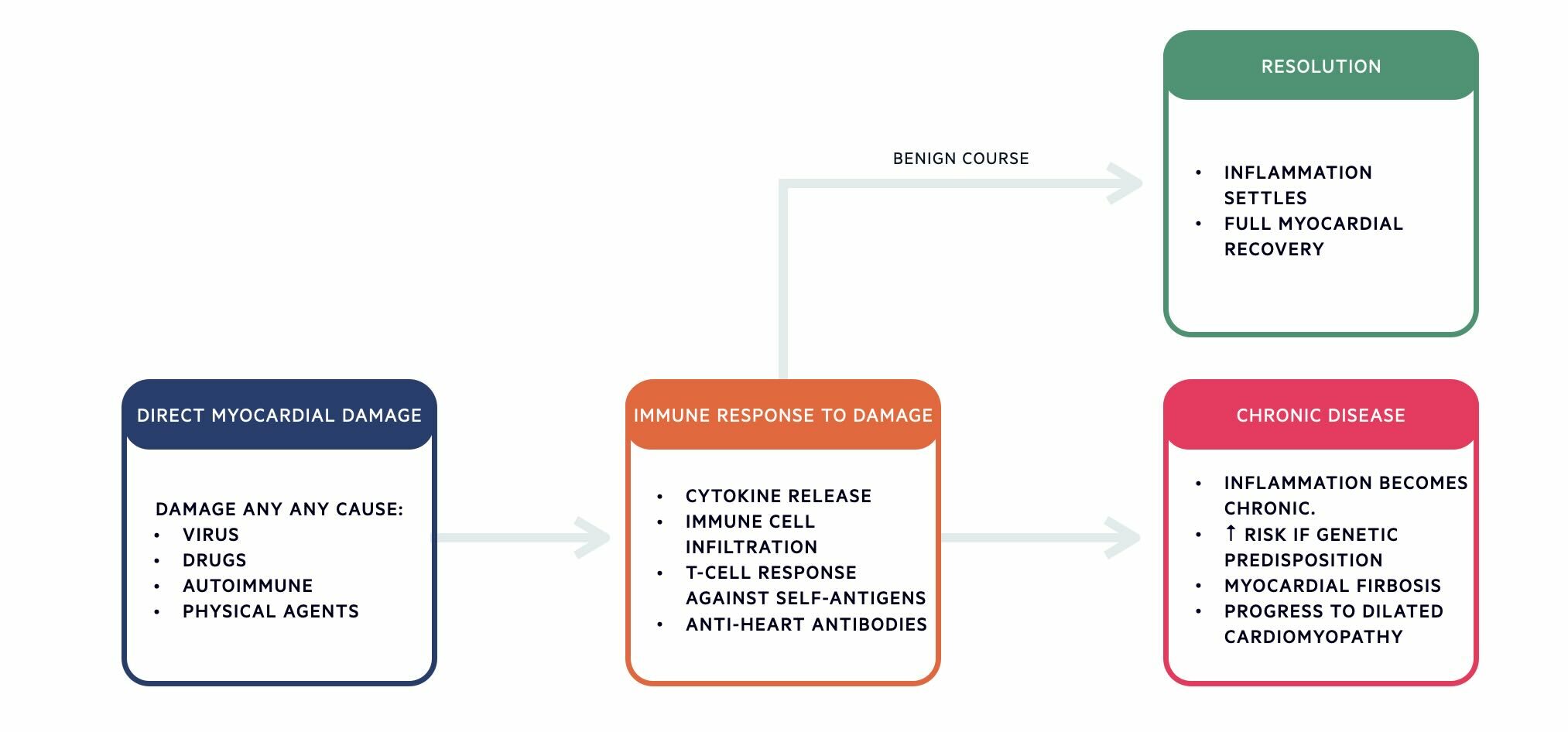 Myocarditis pathophysiology