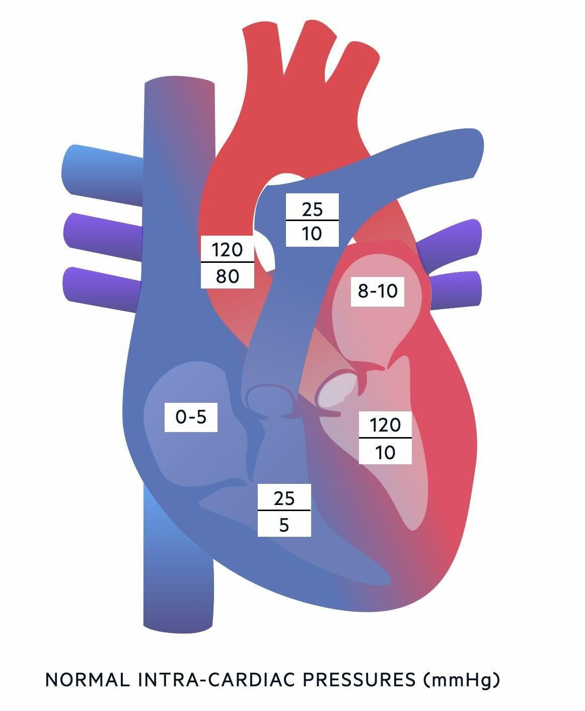 Normal intracardiac pressures